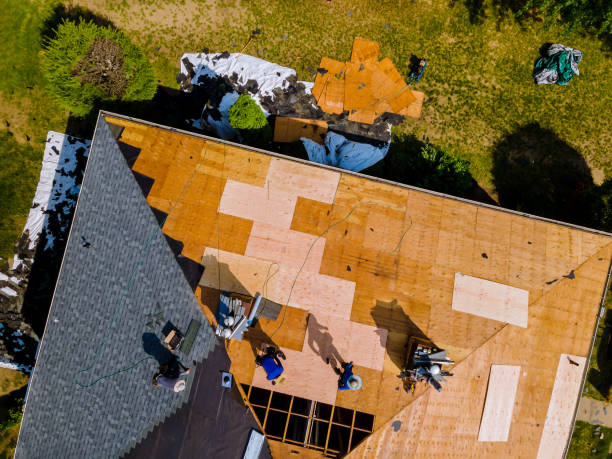 Roof Repair Estimates in Royal Oak, MI