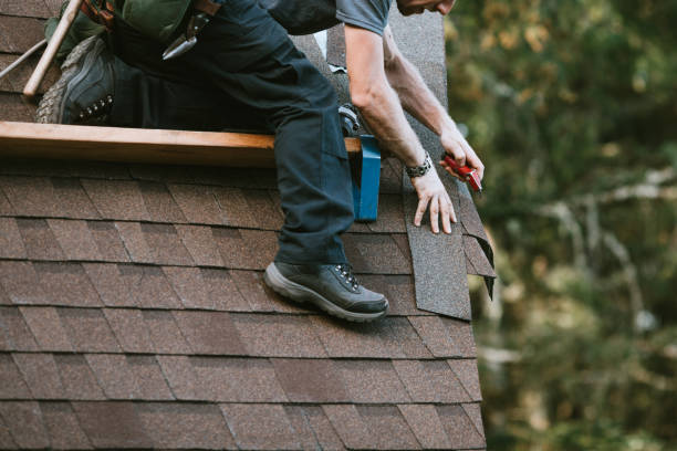 Best Roof Leak Repair  in Royal Oak, MI